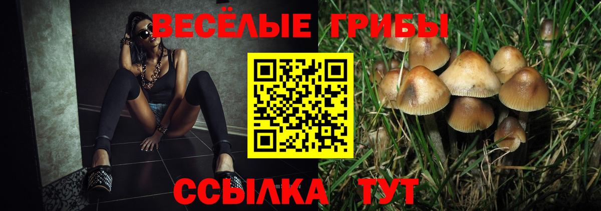 Псилоцибиновые грибы Psilocybe Чебаркуль