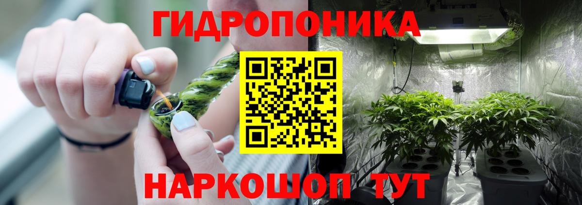 Марихуана Amnesia  Марихуана план  Вход с VPN  Конопля SATIVA & INDICA  Бошки марихуана Bruce Banner  Чебаркуль 